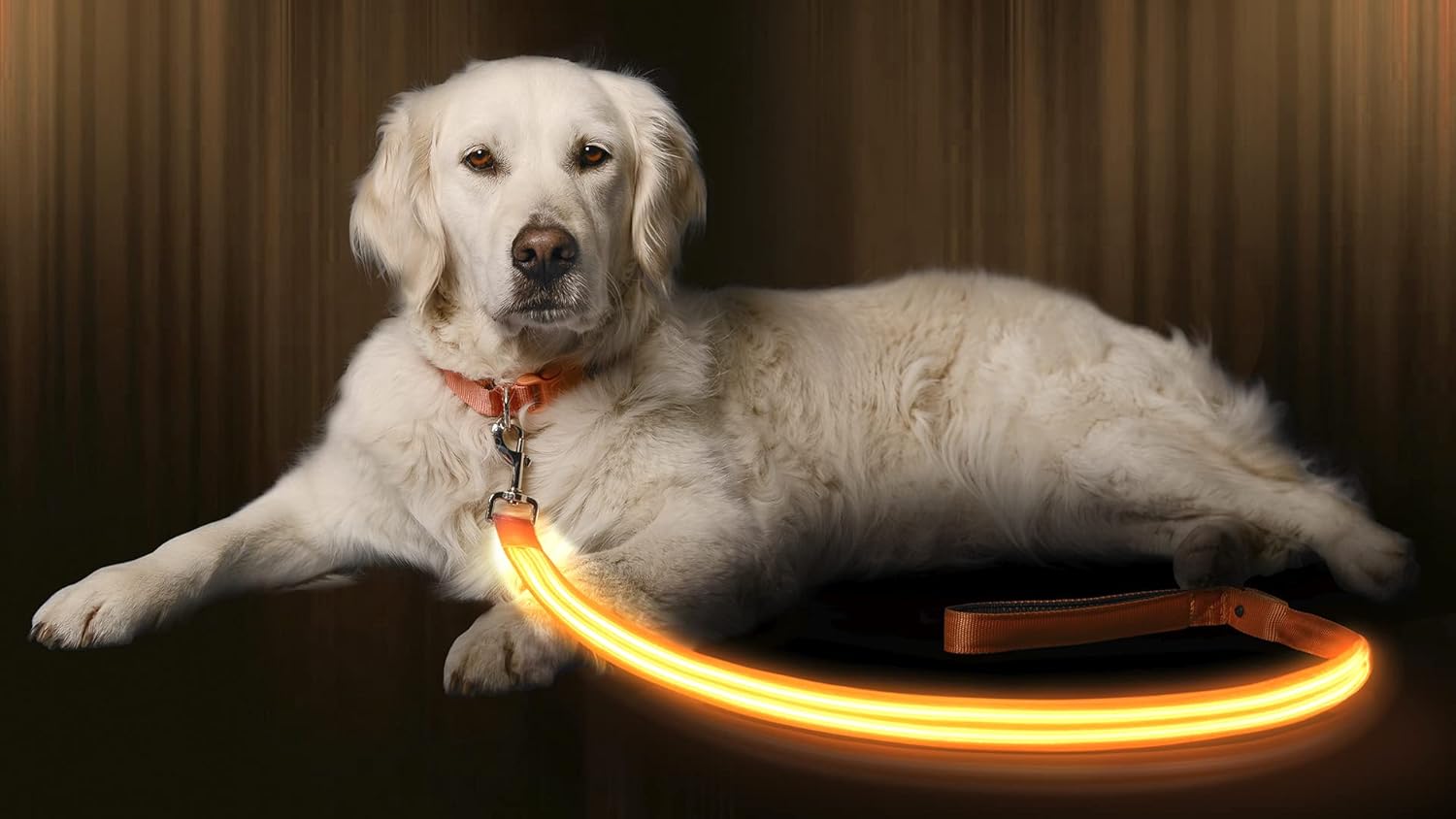 Geïllustreerde LED-oplichtende hondenriem