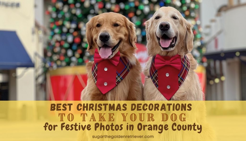 De beste kerstversieringen om je hond mee te nemen voor feestelijke foto's in Orange County