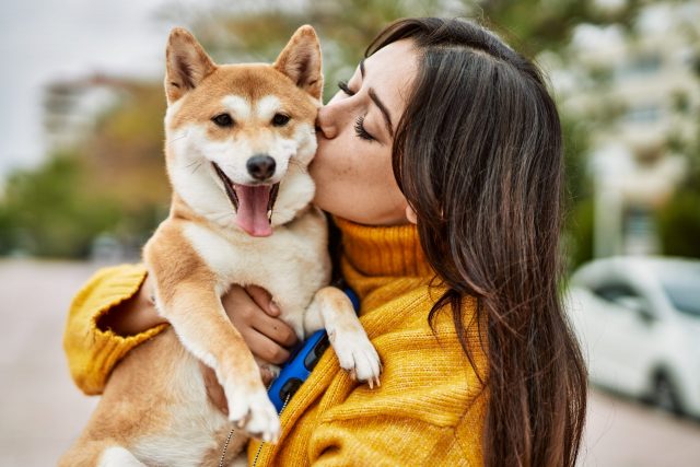 Houden honden van knuffels?