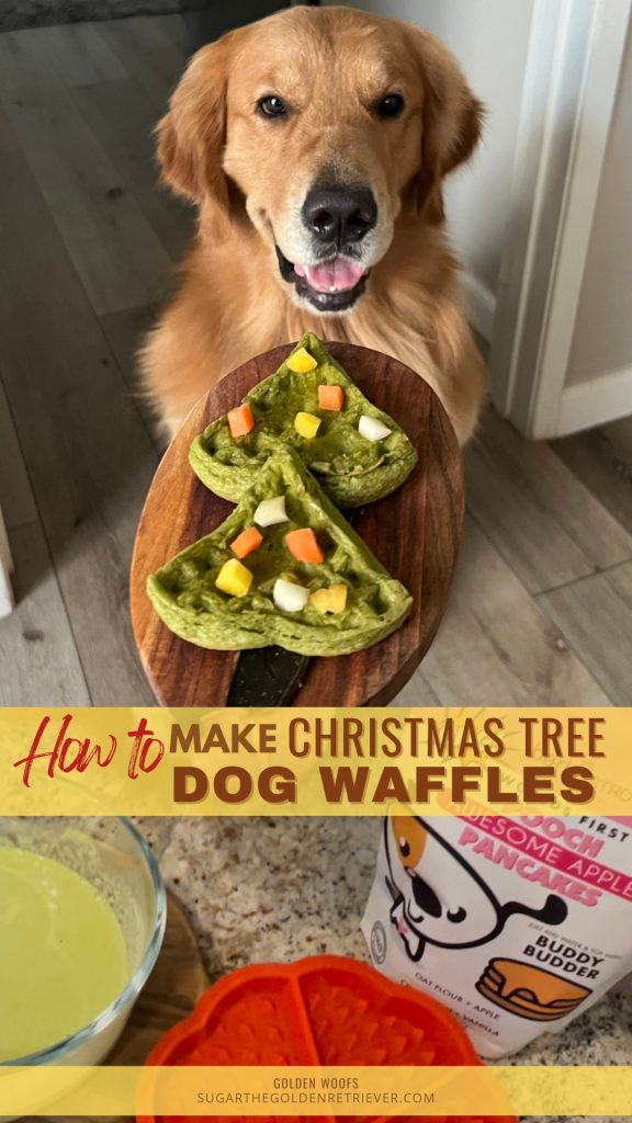 Hoe maak je hondenwafels voor kerstbomen?