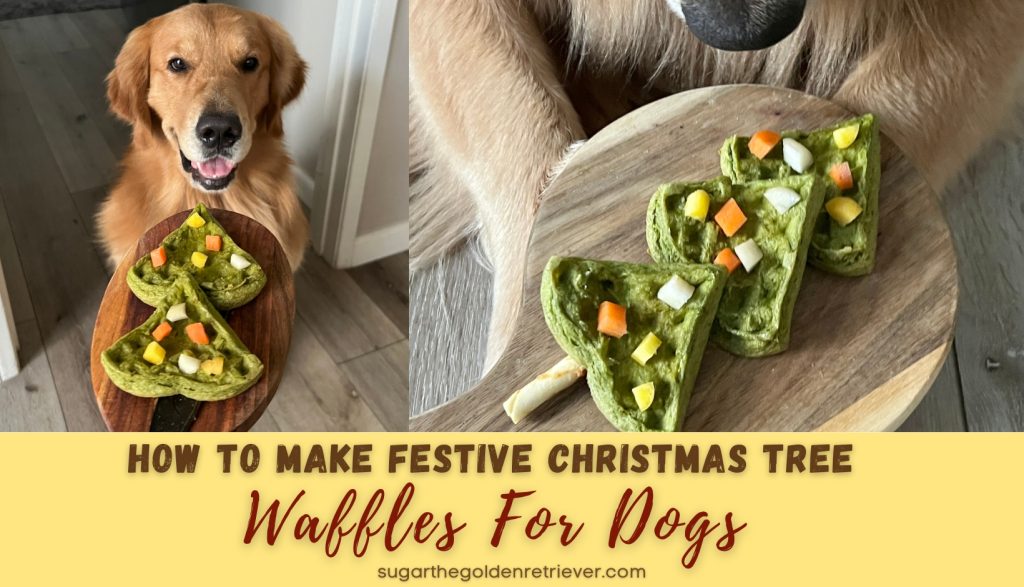 Maak feestelijke kerstboomwafels voor honden | Eenvoudig recept voor hondensnoepjes