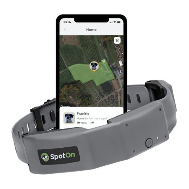 SpotOn GPS Hondenomheining
