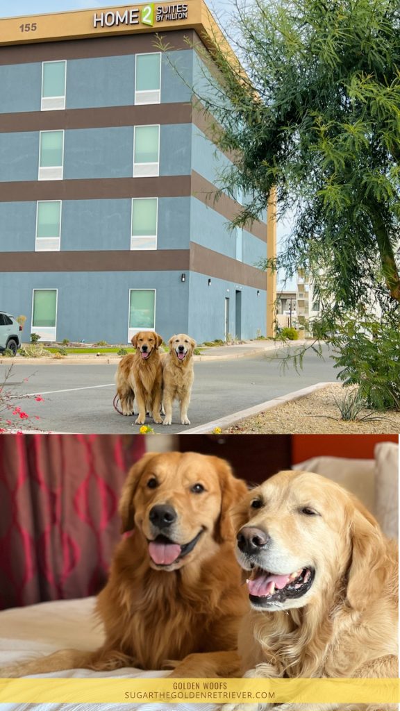 Hondvriendelijk huis2 Suite by Hilton Yuma Arizona
