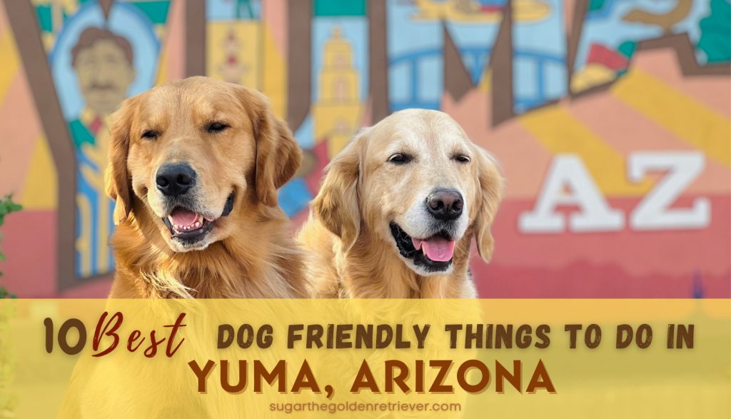 Beste hondvriendelijke dingen om te doen in Yuma, Arizona