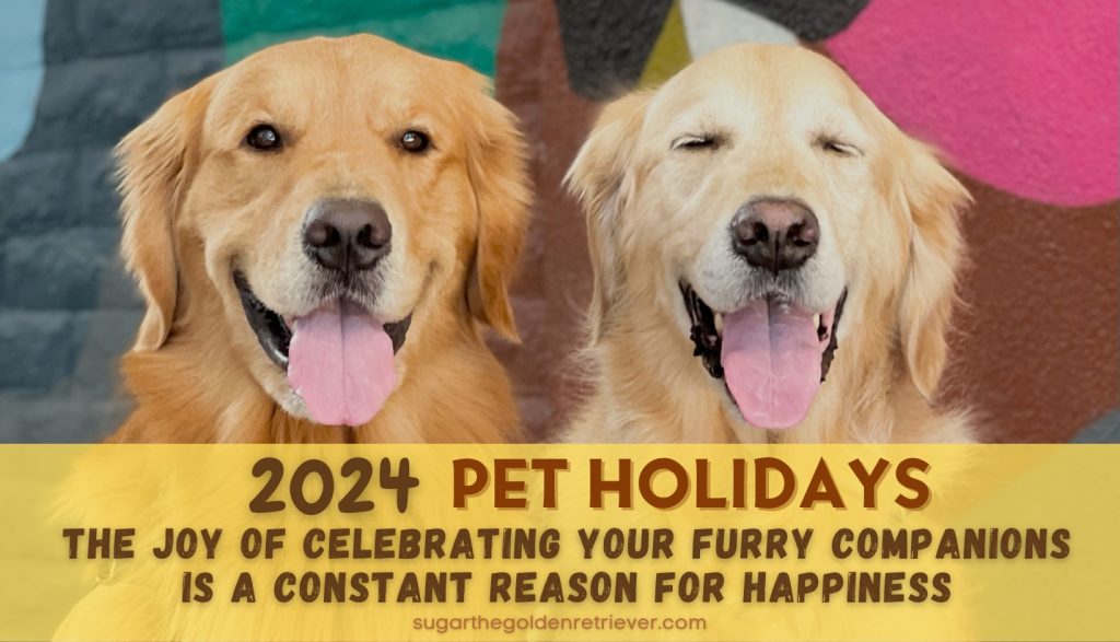 2024 Dierenvakanties - Hondenfeesten