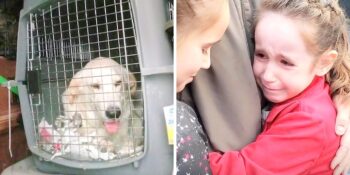 2 meisjes huilden om een hond in een opvangcentrum en wisten niet dat moeder dezelfde hond had geadopteerd