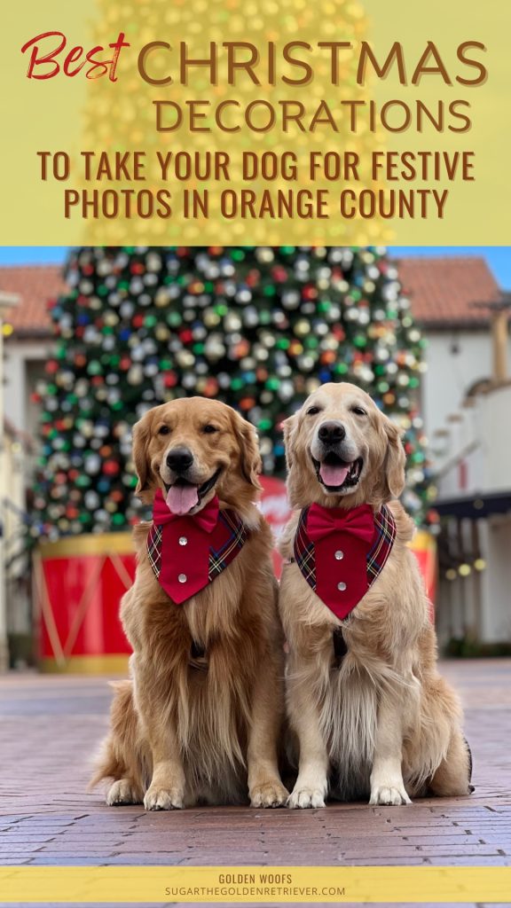 Beste kerstversieringen om uw hond mee te nemen voor feestelijke foto's in Orange County