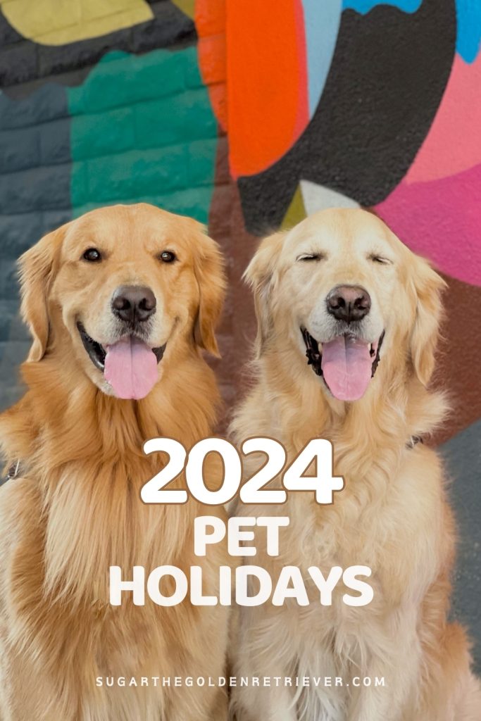 2024 Dierenvakanties om met uw hond te vieren