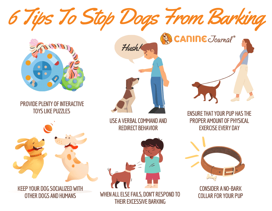 Tips om te voorkomen dat honden infographic blaffen.