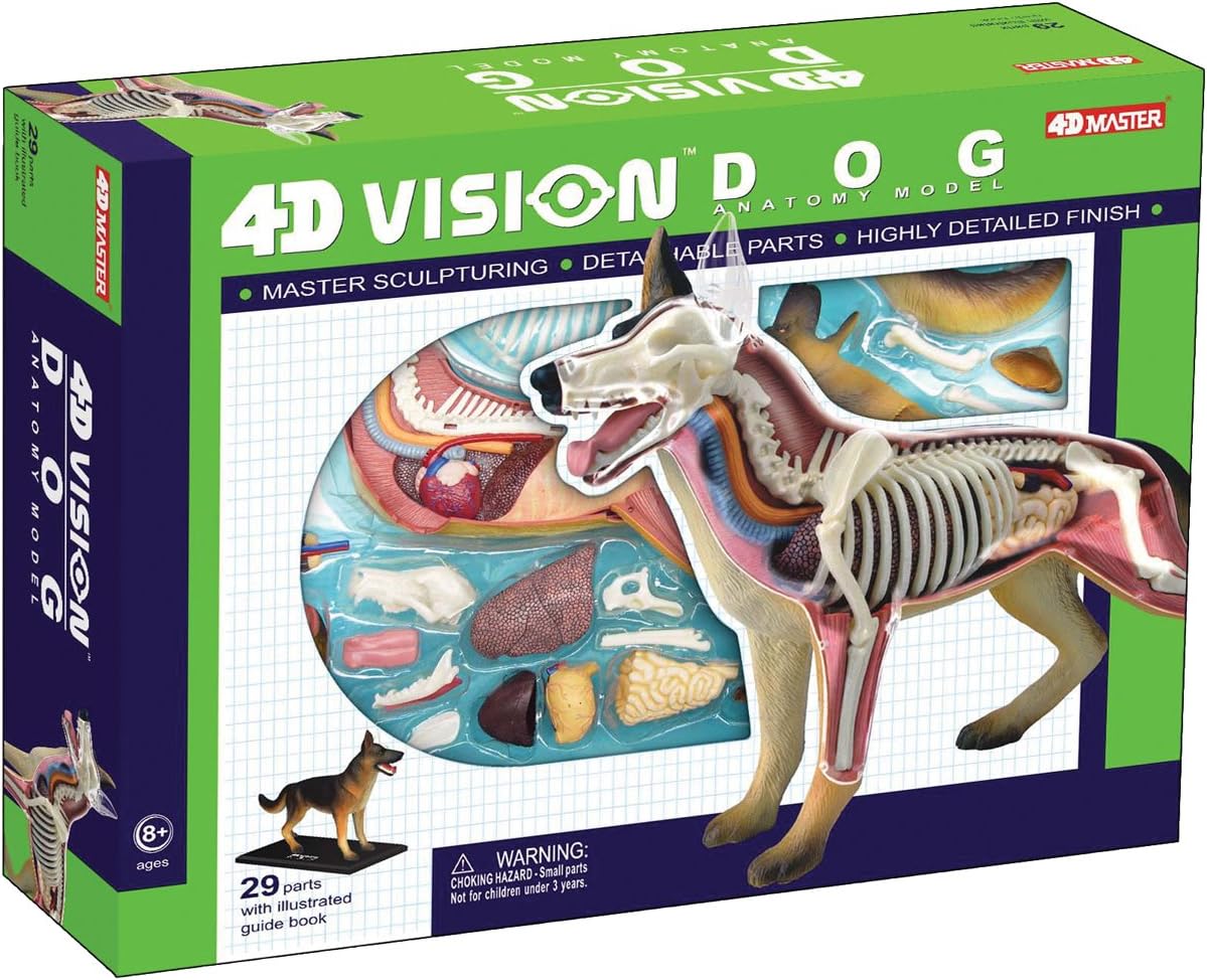 Tedco 4D Vision Hond Anatomie Model