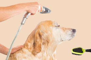Maak je hond schoon