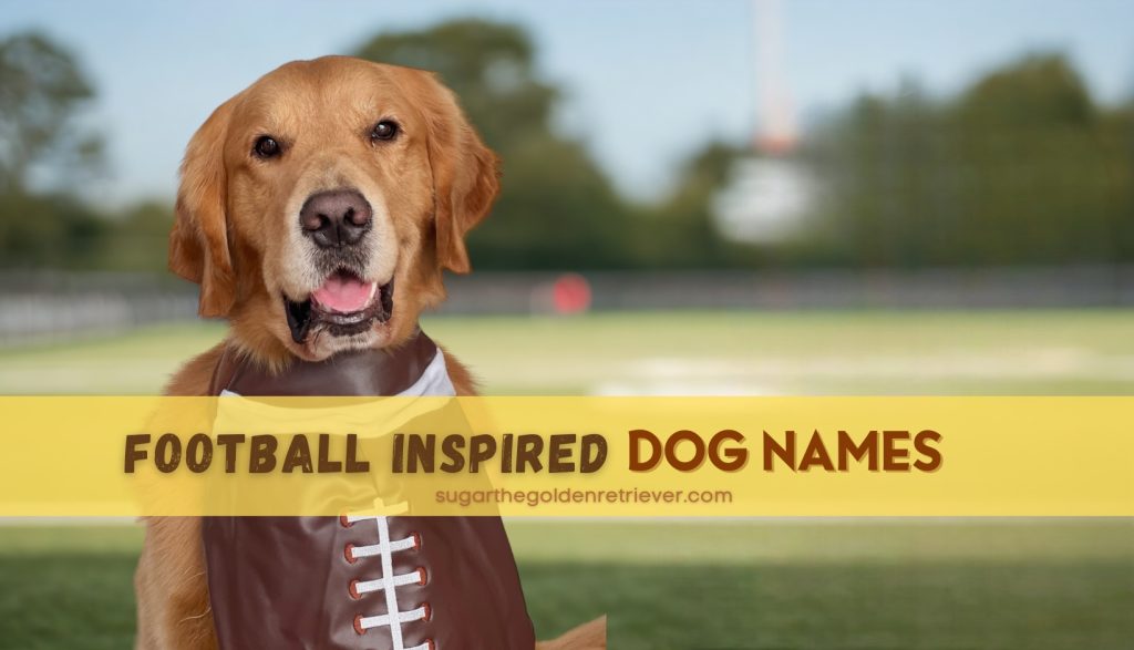 Op voetbal geïnspireerde hondennamen