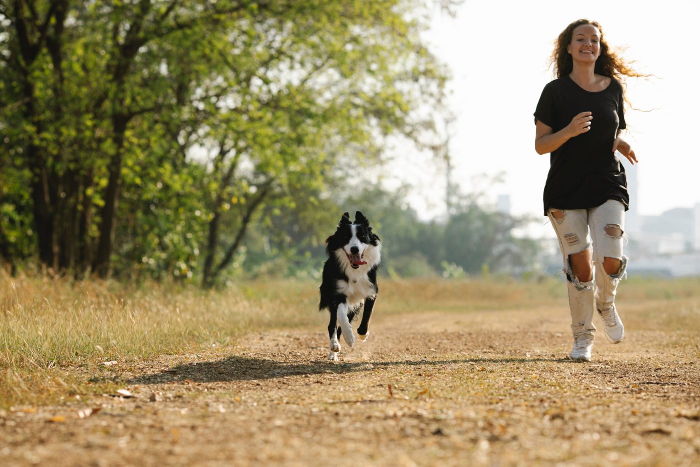 9 meest atletische hondenrassen voor actieve eigenaren