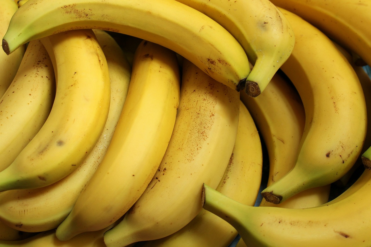 Kunnen Duitse herders bananen eten?