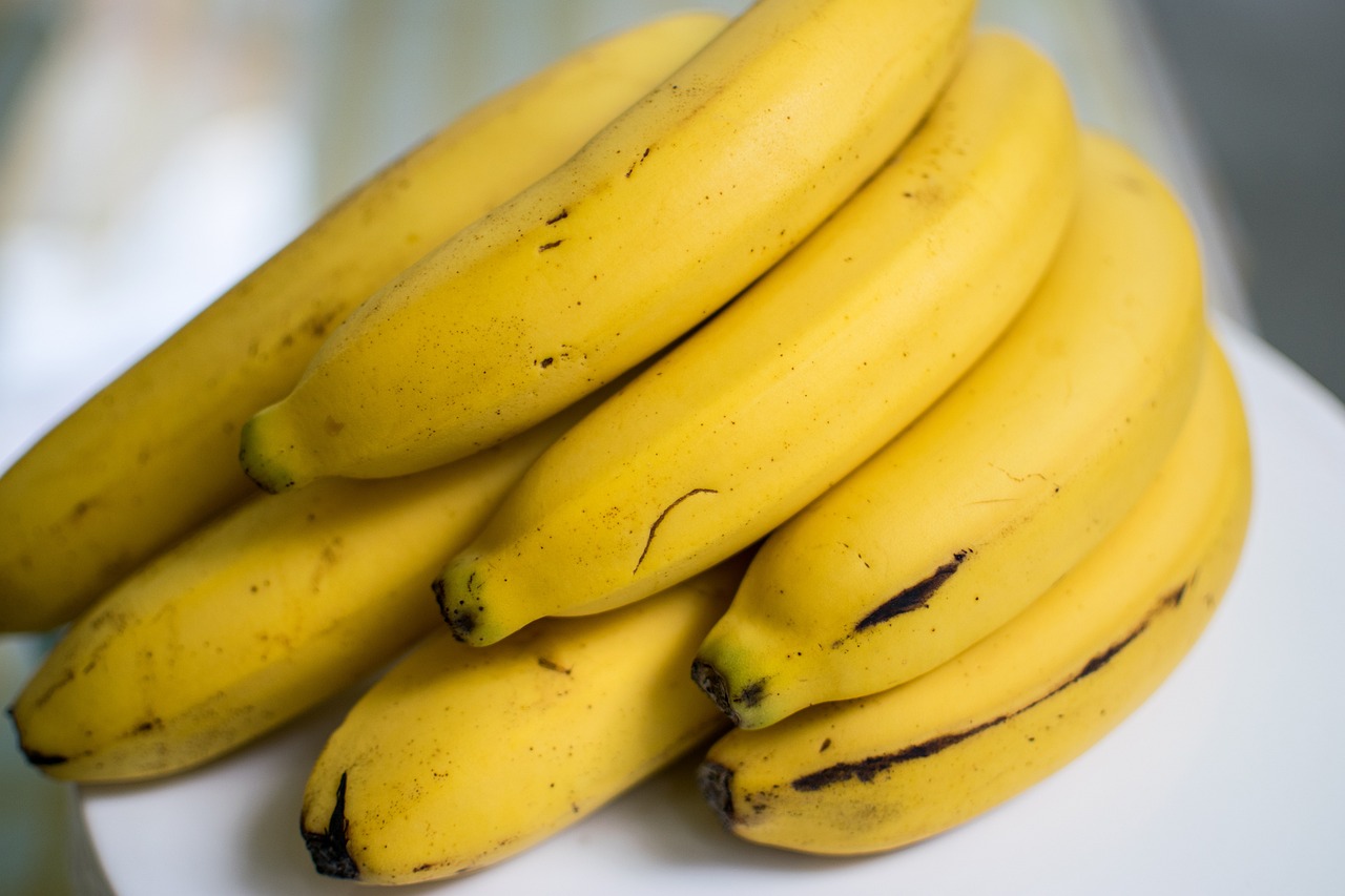 Kunnen Shih Tzu's bananen eten?