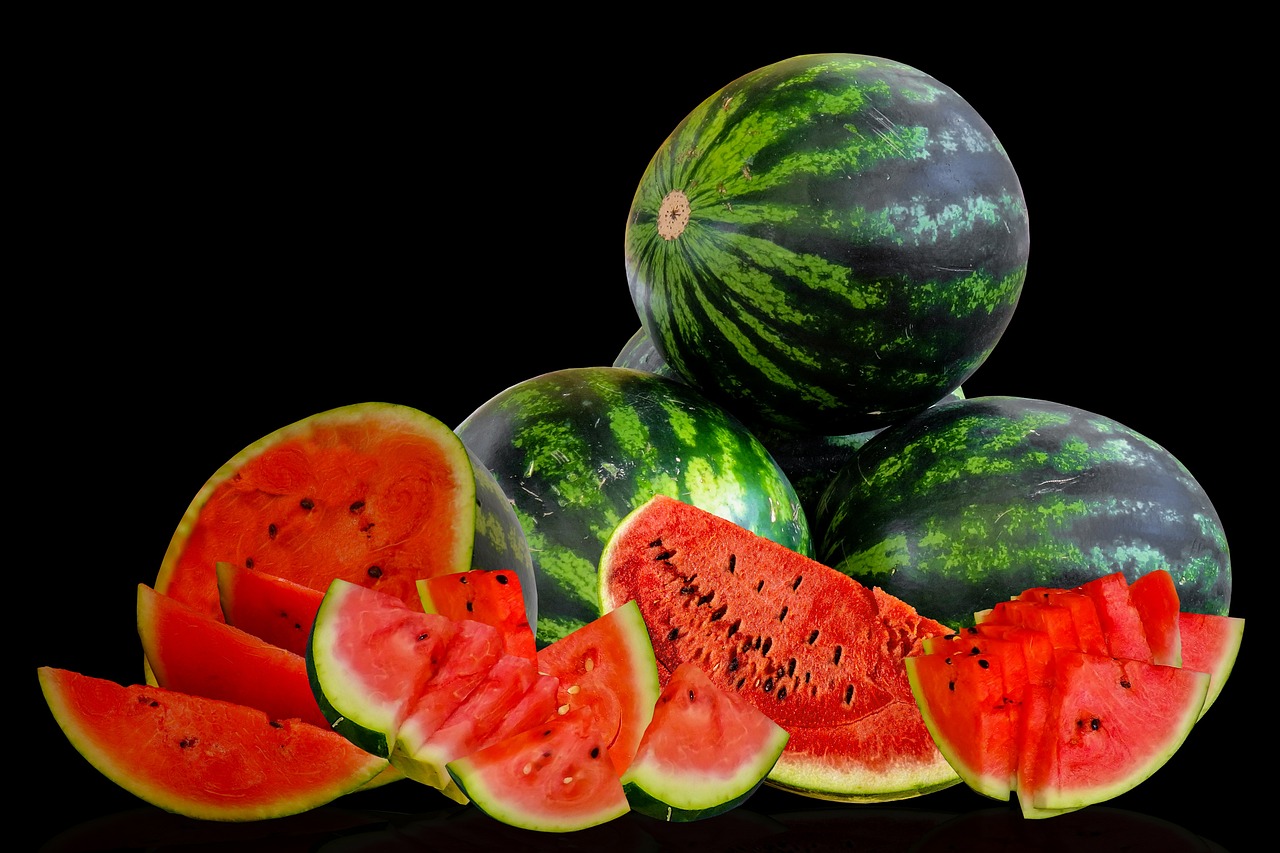 Kunnen Shih Tzu's watermeloen eten?