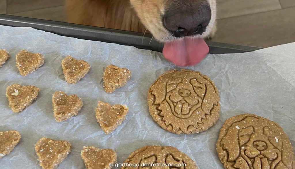 Bakken voor honden - Zelfgemaakte hondensnoepjes met pindakaas