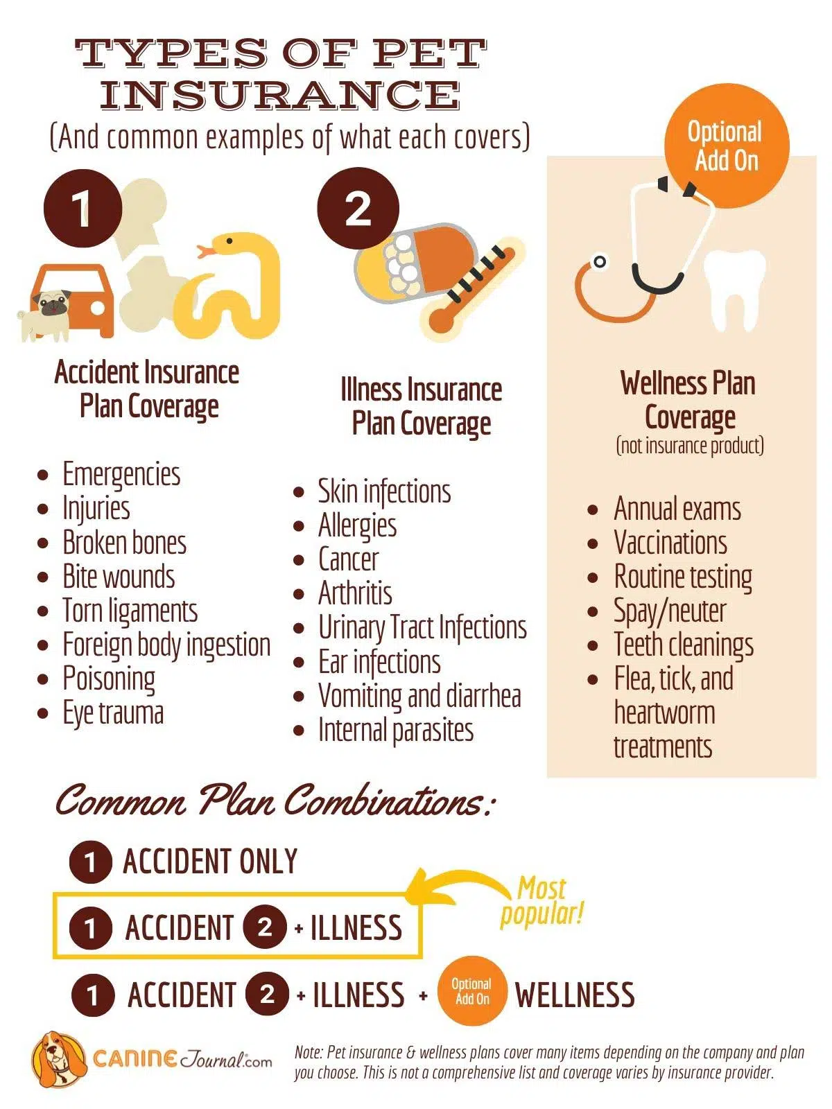 Soorten huisdierenverzekeringen en veelvoorkomende voorbeelden van wat elk dekt infographic 