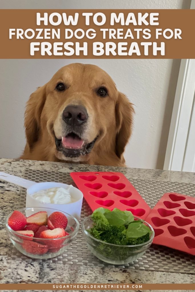 Hoe maak je bevroren hondensnoepjes voor een frisse adem