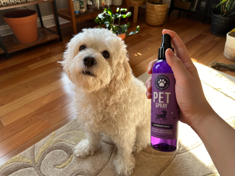 Honeydew Pet Shampoo & Spray Set - het spuiten van de lavendel spray naar nora
