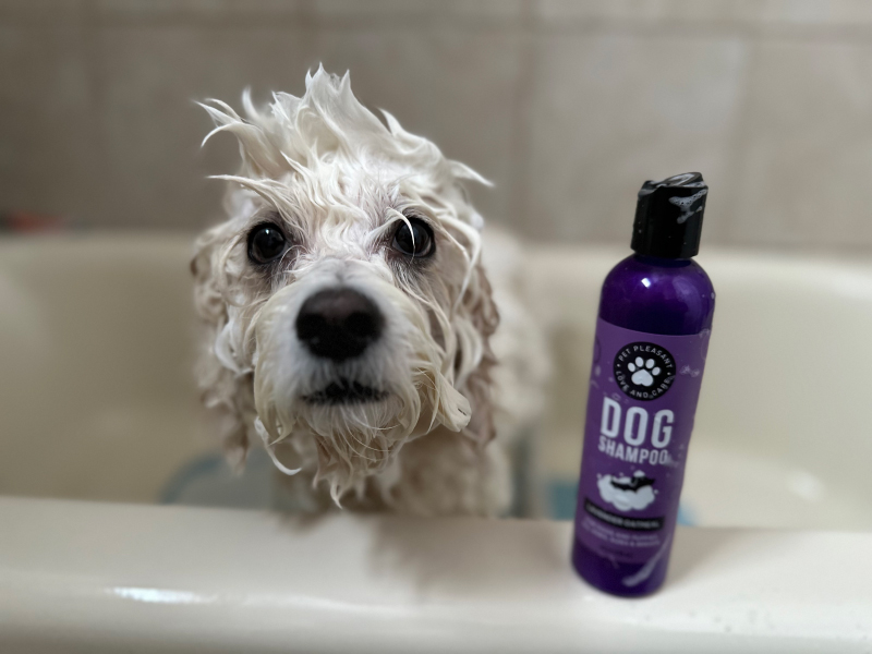 Honingdauw Pet Shampoo & Spray Set - nora krijgt een bad