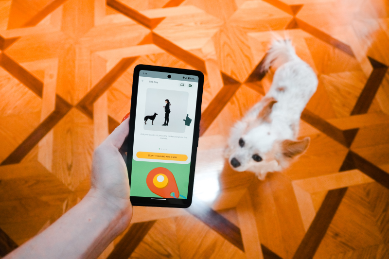 Dogo-app - Zit en blijf les