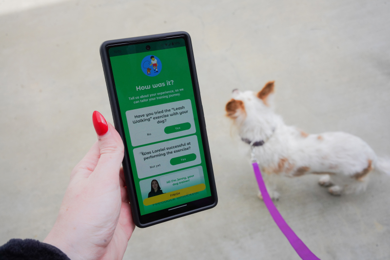 Dogo-app - Feedback over wandelen aan de lijn