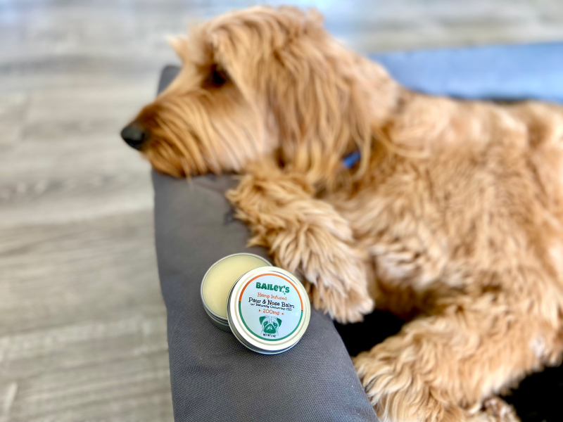 Bailey's CBD Paw and Nose Balm - micah met open product op bed