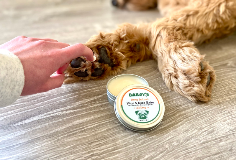 Bailey's CBD Paw and Nose Balm - product aangebracht op de poot