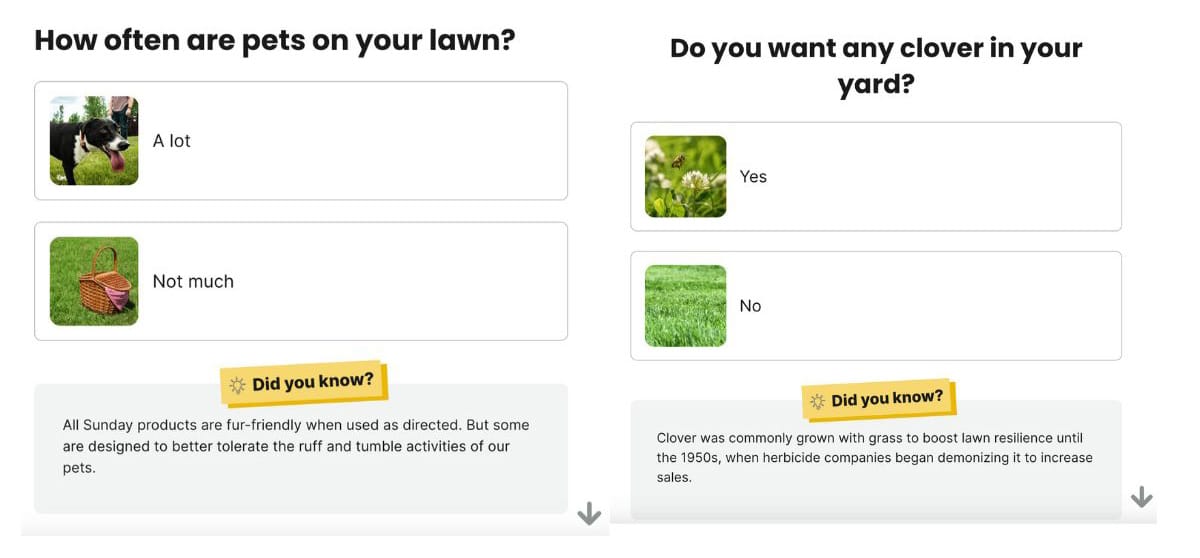 Zondag Seed Finder Quiz vragen over huisdieren en klaver screenshot.