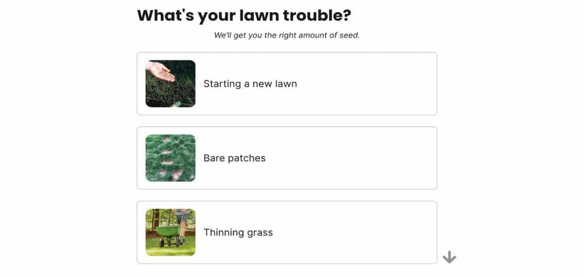 Zondag Seed Finder Quiz vraag over tuinprobleem screenshot.