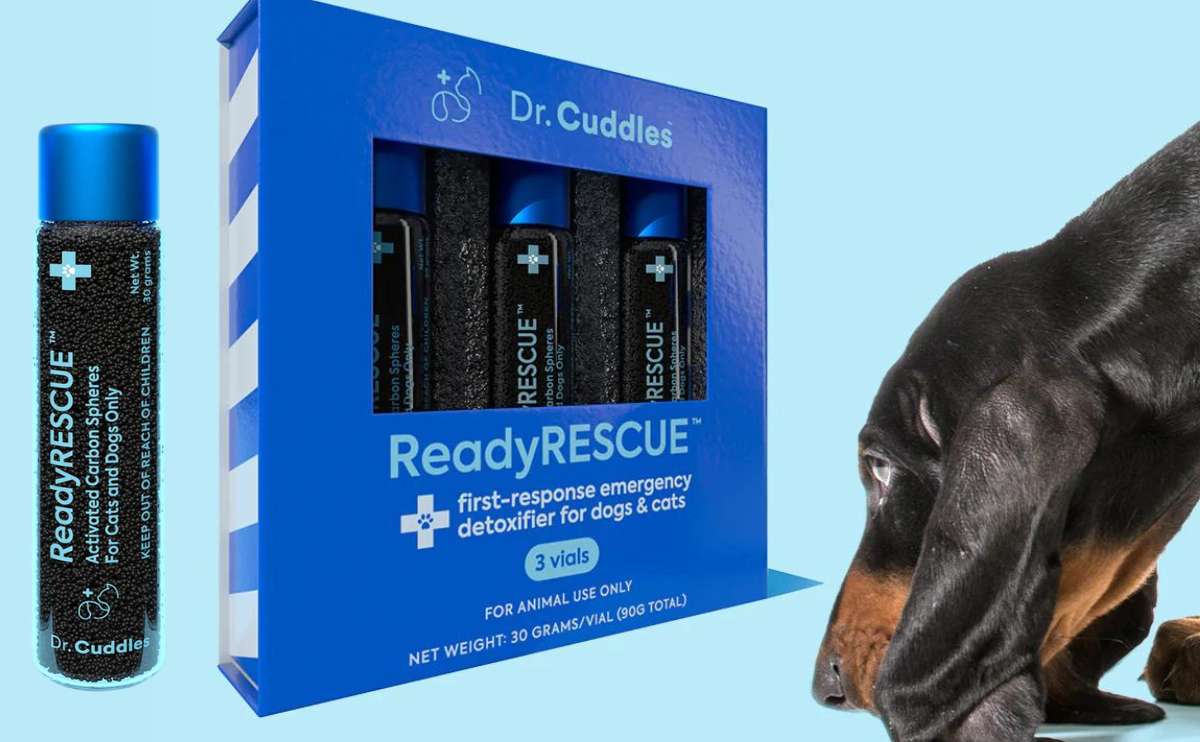 Hond snuiven Dr. Cuddles ReadyRESCUE doos met flacon op een blauwe achtergrond.