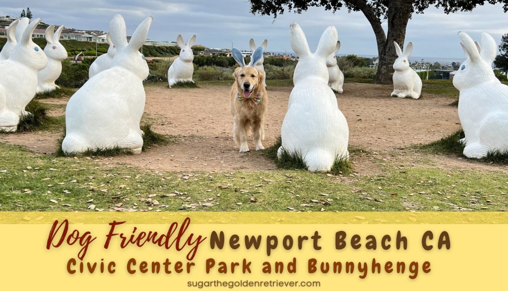 Hondvriendelijk Newport Beach CA Bannhenge