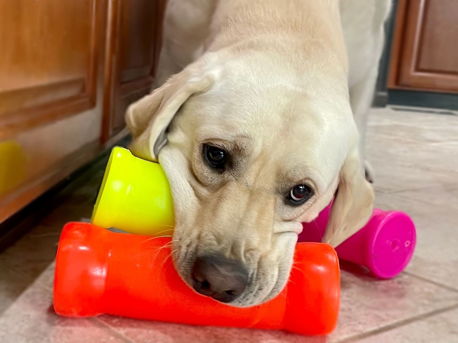 RuffDawg Dog Toys - hond bijt in het speelgoed