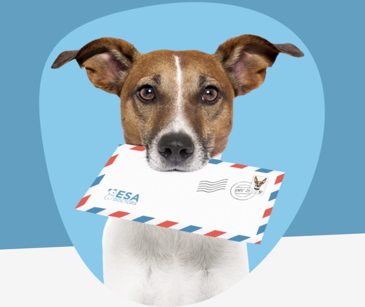 Hond met ESA-brief