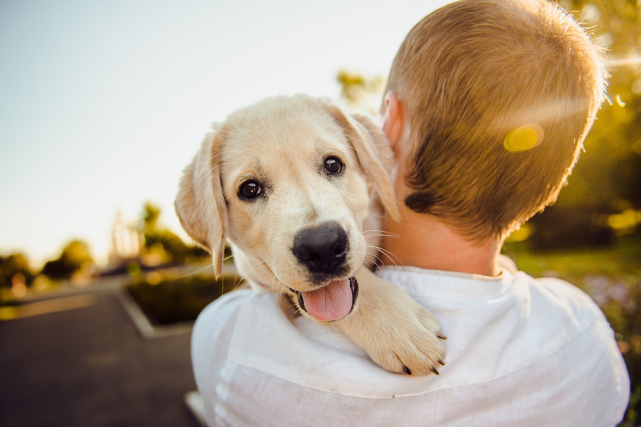 6 manieren waarop uw hond liefde toont die u misschien mist