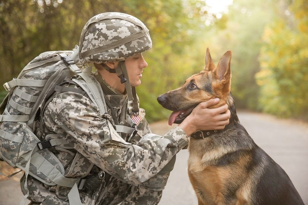 een soldaat en een K9 militaire hond