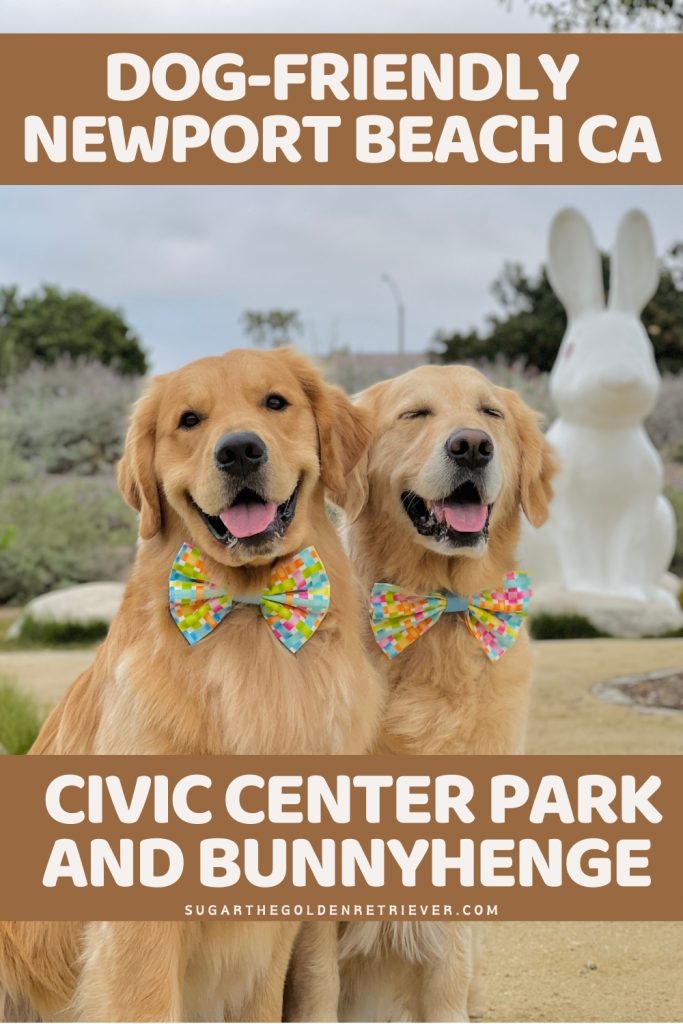 Hondvriendelijk Newport Beach, CA Civic Center Park en Bunnyhenge