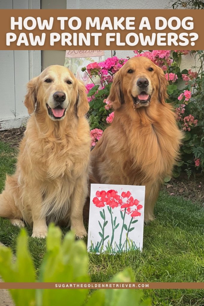 Hoe maak je een hondenpootafdruk bloemen?